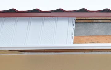 Ripple fascia repair costs