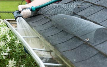 Ripple gutter cleaning costs
