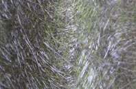 Ripple fibreglass roof work